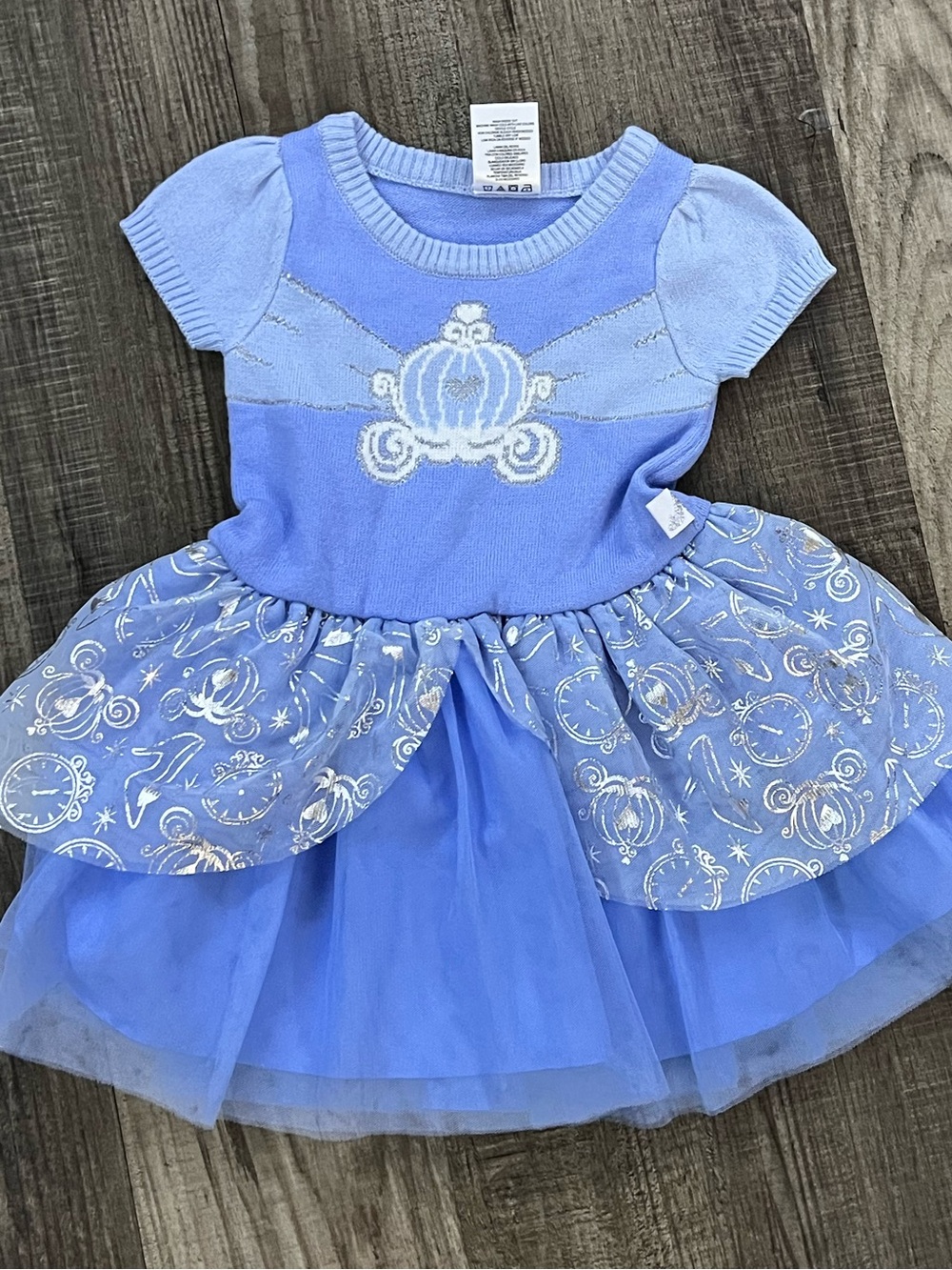 Disney Blue Princess Carriage Tulle Dress Costume